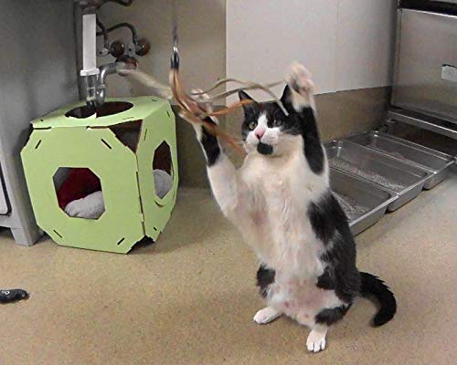 Coolcybercats Ribbon, Leather And Fur Attachment Cat Toys - Fit Wildcat And Popular Bird And Catcher Type Wands/Poles (Leather Tassels)