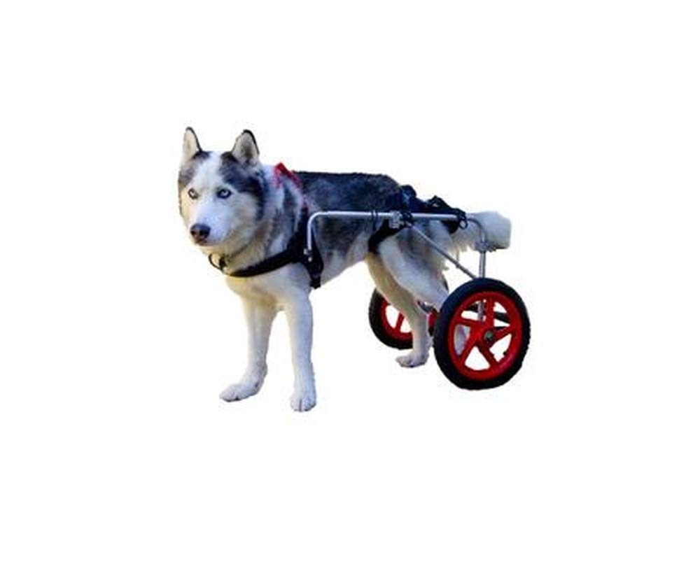 Best Friend Mobility XL Dog Wheelchair 23-29 BFMXL