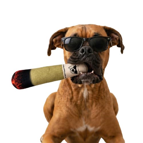 Mutt Of Course Joint Squeaky Dog Toy Interactive Chew Plaything For Large Breeds | Medium Pets | Boredom Toy