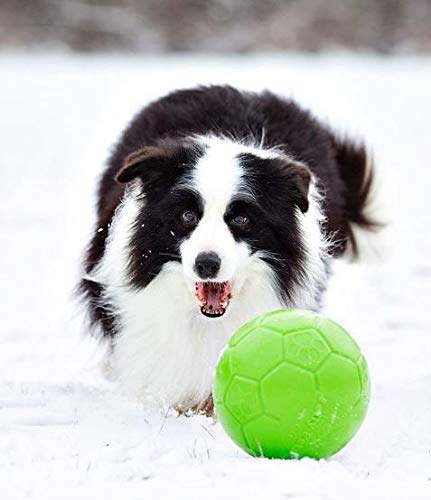 Jolly Pets Large Jolly Soccer Ball Floating-Bouncing Dog Toy; 8' Green Apple