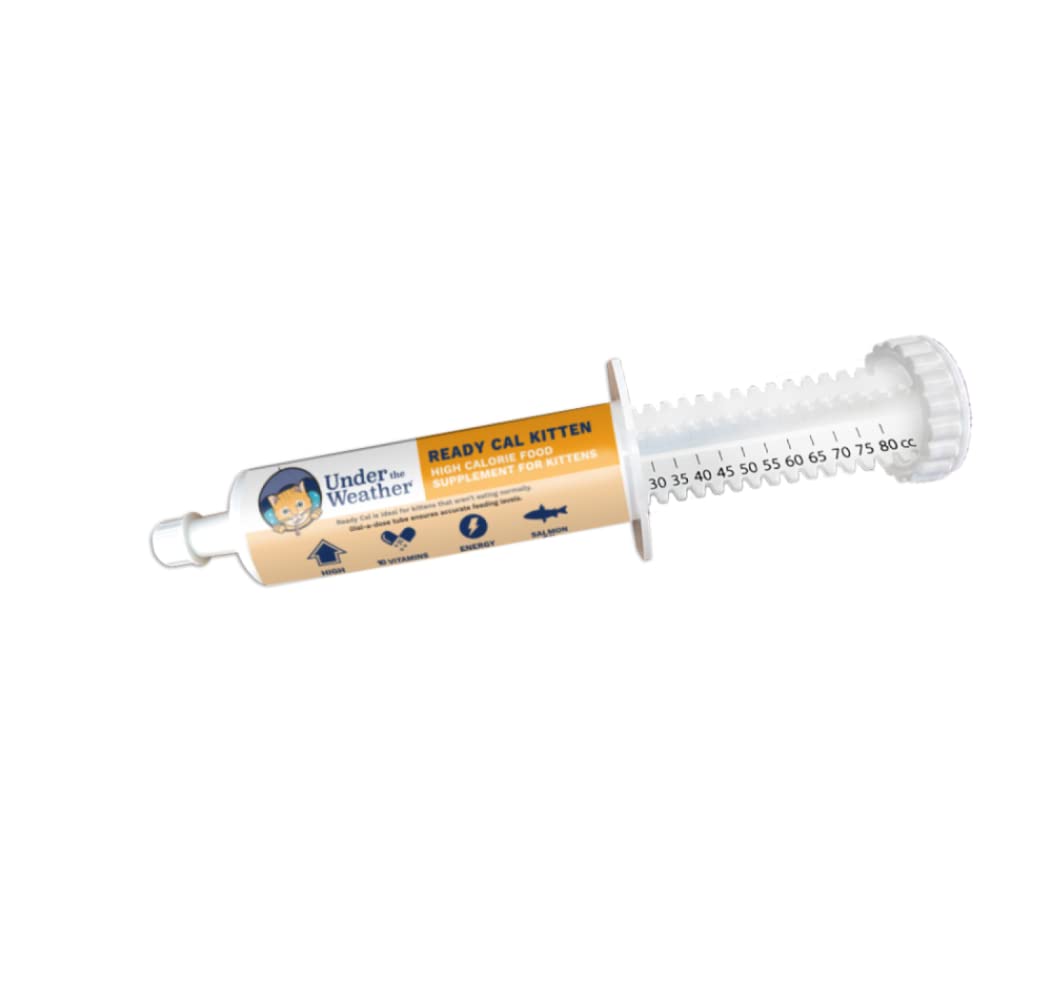 Under the Weather Pet | Ready Cal for Kitten | High Calorie Pet Nutritional Supplement for Weight Gain & Healthy Weight Maintena