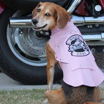 Biker Dawg Motorcycle Dog Jacket - Black