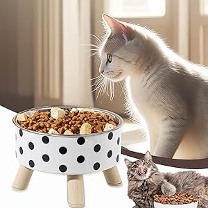 Blurism Cat Feeding Bowl With AntiTip Design, Raised Shallow Pet Food Dish Healthy Cat Bowl Food Bowl For Cats For Kittens/Seni