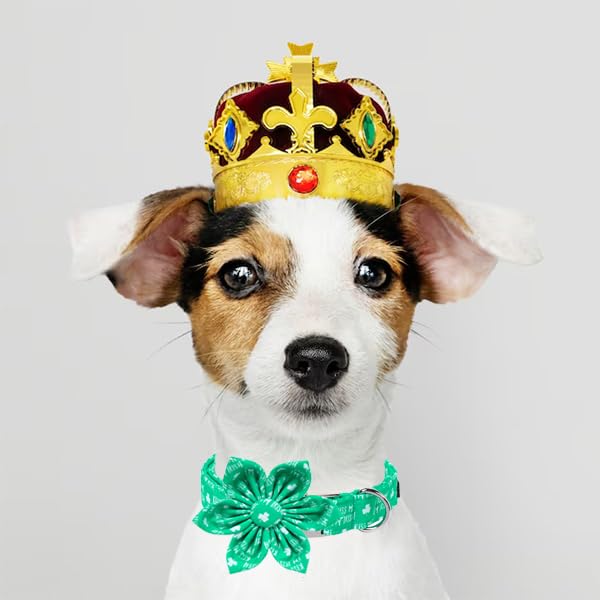 Unique Style Paws St. Patrick'S Dog Collar With Bow Green Clover Dog Collar Flower Bowtie Collar For Large Medium Small Dogs