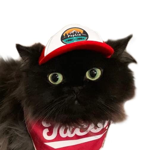 Puplid Trucker Hats For Kittens - Premium Stylish Sun Protection For The Modern Cat - Adjustable Secure Fitting Cat Hat (Red, Al