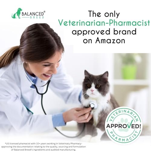 Balanced Breed L-Lysine Cats Immune Support Soft Chews Made in USA Vet-Pharmacist Approved Seasonal Allergy Relief Cat Vitamins