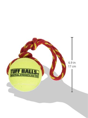 Petsport Giant Fling Thing Dog Toy, 4-Inch