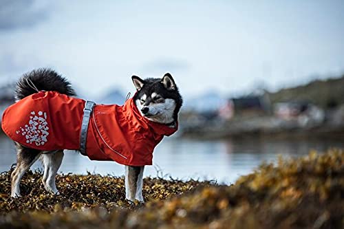 Hurtta Monsoon Coat Eco, Dog Raincoat, Rosehip, 32 In