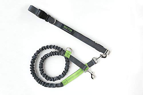 Mighty Paw Hands Free Dog Leash | Bungee Waist Leash for Dog Walking. Pet Running Hands Free Tether for Large, Medium & Small Br
