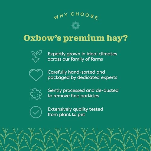 Oxbow Animal Health Western Timothy Hay - All Natural Hay for Rabbits, Guinea Pigs, Chinchillas, Hamsters & Gerbils - 15 oz.