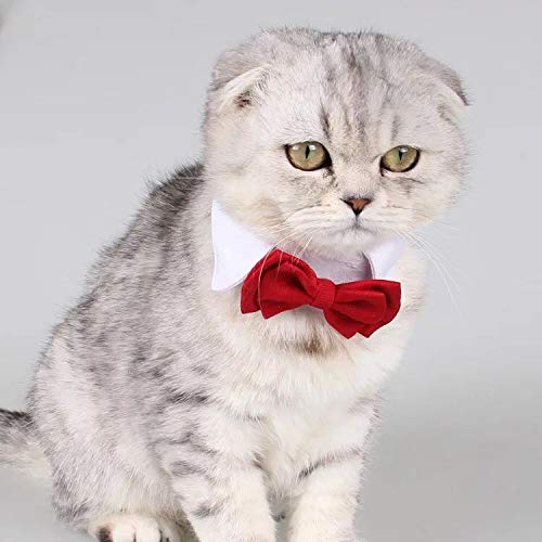 Selected Adjustable Dog Bow Tie Puppy Pet Costume Collar Stripe Bow Tie Dogs Cats Puppy Tie Neck Tie - Perfect For Wedding Tie Party Accessories (Formal Collar Bowtie-Red)