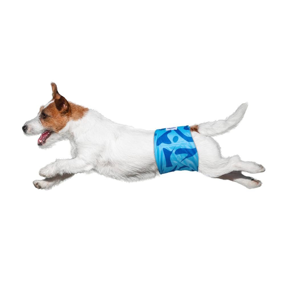 Micooyo Belly Bands For Male Dogs - 3 Pack Reusable Dog Diapers Male For Puppy Doggie, Washable Male Dog Wraps Xsmall