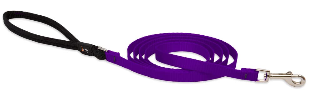 Lupinepet Basics 1/2' Purple 6-Foot Padded Handle Leash For Small Pets