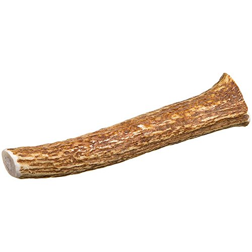 Cz Grain Large Grade A Deer Antlers For Dogs, Naturally Shed Deer Antlers, Organic Deer Antlers, All Natural Deer Antler Chews, 