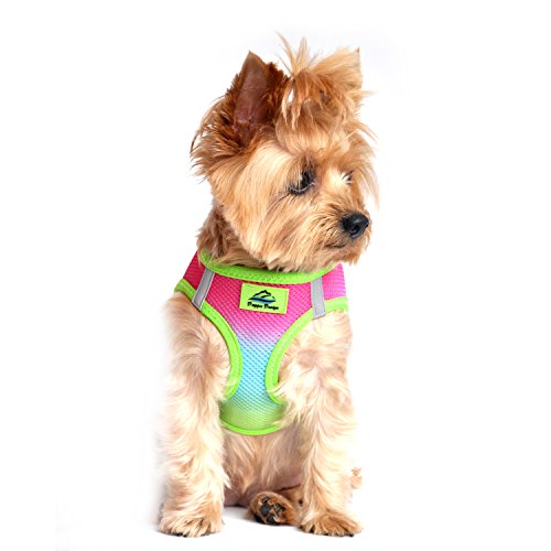 American River Dog Harness Ombre Collection - Rainbow M