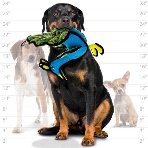Tuffy - World'S Tuffest Soft Dog Toy -Zoo Peacock- Multiple Layers. Made Durable, Strong & Tough. Interactive Play (Tug, Toss & Fetch). Machine Washable & Floats