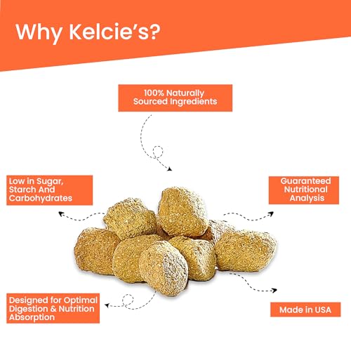 Kelcies Pumpkin Spice Horses Treats - Low Sugar, Starch, and Carbohydrates | Healthy Treats for Horse Supports Superior Digestio