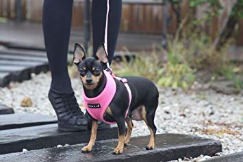 Puppia Soft Dog Harness No Choke Over-The-Head Triple Layered Breathable Mesh Adjustable Chest Belt And Quick-Release Buckle, Brown, X-Large