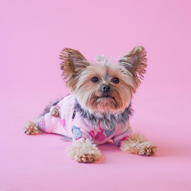 Fitwarm Sweet Cupcake Pet Clothes For Dog Pajamas Pjs Coat Soft Velvet Pink Xs