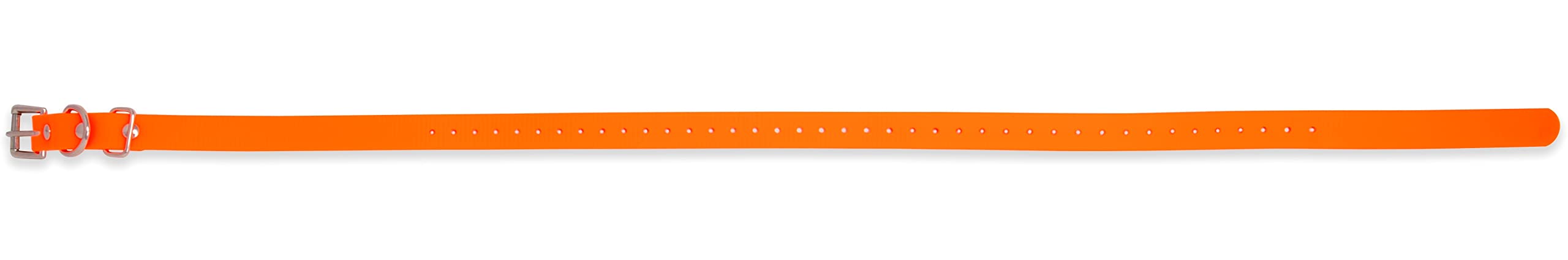 Educator Biothane Dog Collar, Waterproof, Odorproof, Metal Buckle And D Ring, Adjustable For Custom Fit, Cool And Comfortable, For Small, Medium, Or Large Dogs, 3/4-Inch, Orange