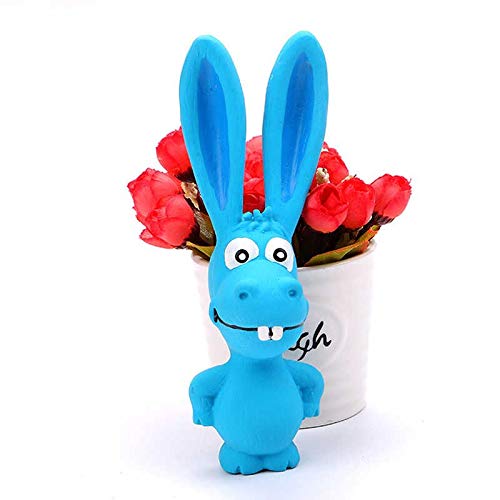 The DDS Store Safe Latex Dog Squeak Toys, Dog Chew Molar Toys, 6.5Inch Tall, for Small Dogs Funny Play ToysX1 (Orange)