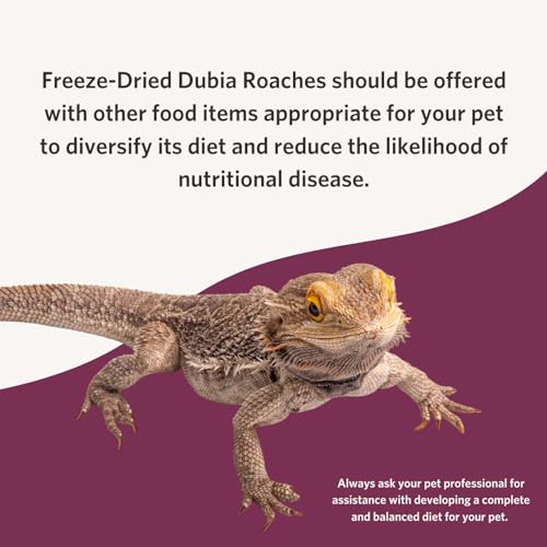 Flukers Freeze Dried Dubia Roaches for Reptiles