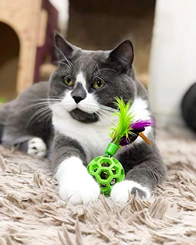 JW Pet Cataction Feather Ball with Bell, Cat Toy, Green, 1 Count (Pack of 1) (71059)