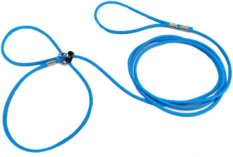 Piggy Poo and Crew 12 Foot Mini Pig Harness Adjustable Harness & Leash for Animals Pigs Ferrets Rabbits Guinea Pigs Dogs Cats Re