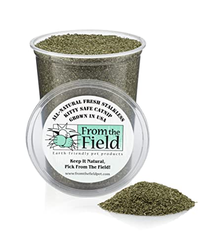 From The Field | Fine Ground Stalkless Catnip | Premium Usa-Grown Catnip For Toys & Playtime | Fresh, Potent, Non-Toxic, Eco-Friendly | Safe For Kittens & Cats | Resealable 6 Oz Tub