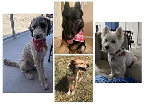 Christmas Bandana | Blue | Dogs | Birds | Winter | Snow | Reversible Dog Bandana | Slip Over The Collar Bandana | For Small Medi