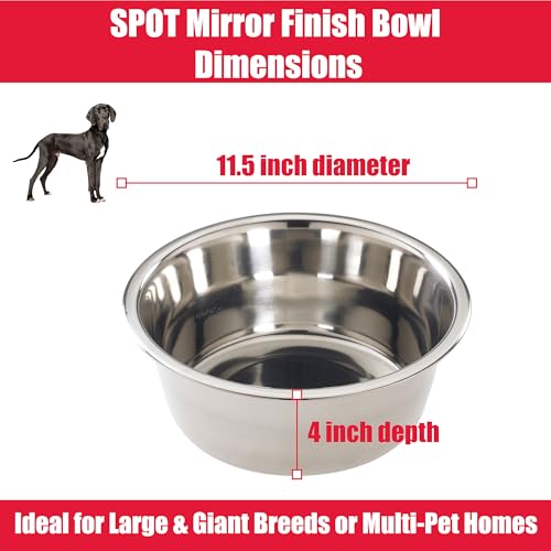 SP 5QT MIRROR S/S BOWL 160OZ