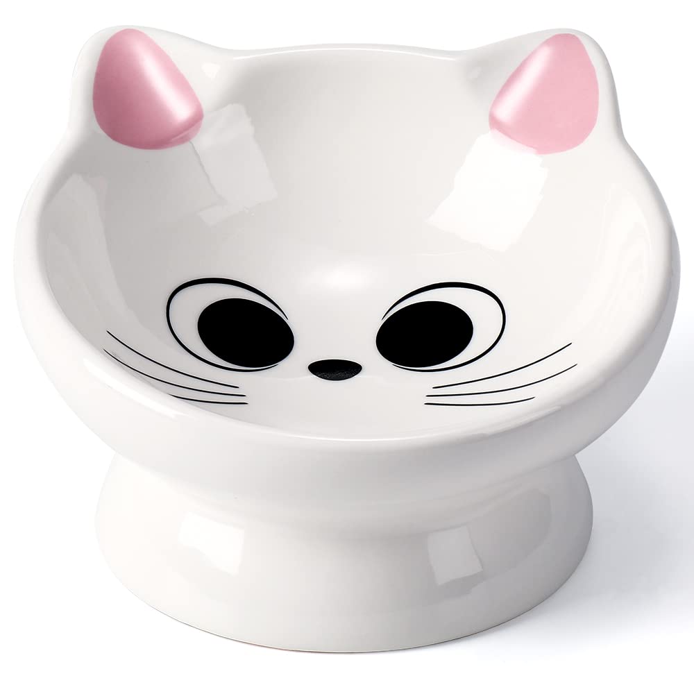 Raised Ceramic Cat Food Bowl - 15 Tilted, Spine Protection, Anti-Vomiting, Backflow Prevention for Adult Cats, Kittens, and Smal