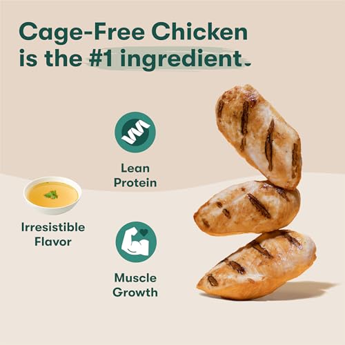 Jinx Chicken Dog Wet Food, Meal or Mix in Dog Toppers for Dry Food, Made with Real Chicken, Bone Broth & Brown Rice, No Fillers,