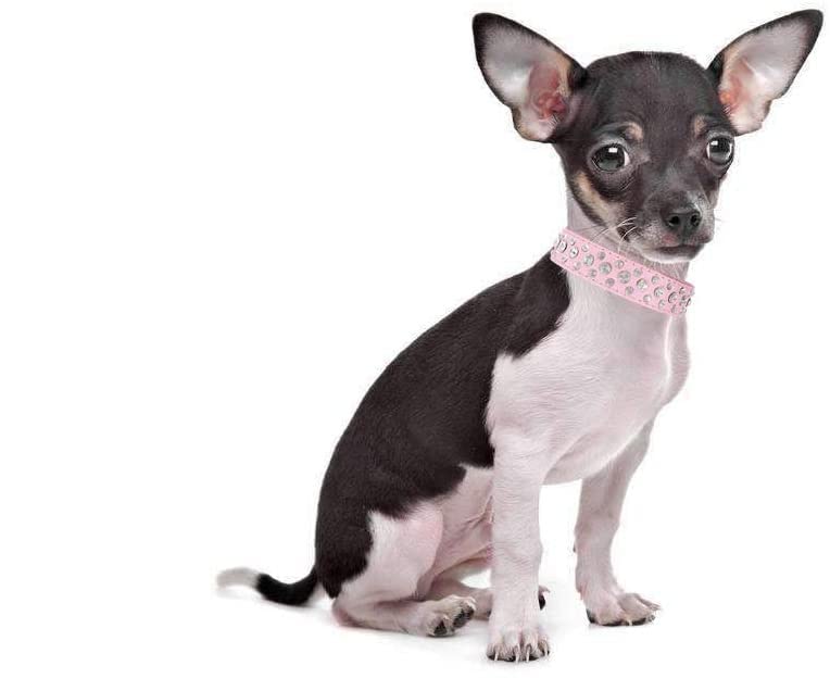 Rhinestone Dog Collar, Bling Rhinestone Pu Leather Crystal Diamond Pet Dog Cat Puppy Collar Black S M L Xl (L, Pink)