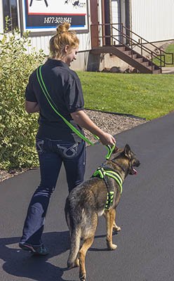 Activedogs Luxury Fleece Crossbody Dog Leash 6.5Ft - Comfortable Hands Free Dog Leash With Adjustable Length, Durable Black Nylo