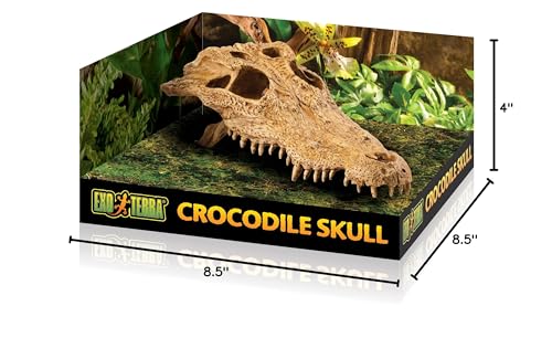Exo Terra Croc Skull Terrarium Decor Lq - Ideal For Reptiles & Amphibians | Secure Hiding Place, Multiple Entrances, Perfect For Desert & Rainforest Setups | Adds Exciting Accent To Any Habitat