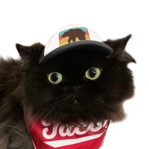 Puplid Trucker Hats For Kittens - Premium Stylish Sun Protection For The Modern Cat - Adjustable Secure Fitting Cat Hat (Black, 
