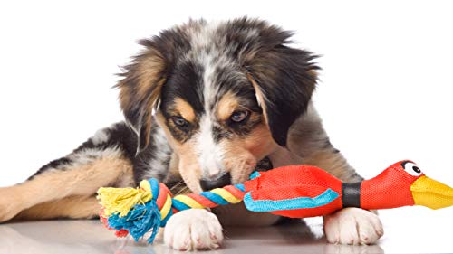 Hartz Tuff Stuff Nose Divers Plush Duck Tug Dog Toy - Small