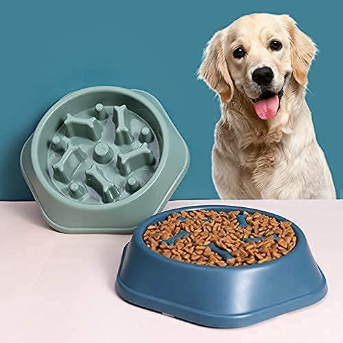 Rvpaws Slow Feeder Dog Bowl Fun Feeder No Chocking Slow Feeder Bloat Stop Dog Cat Food Water Bowl With Funny Pattern 1 Pcs