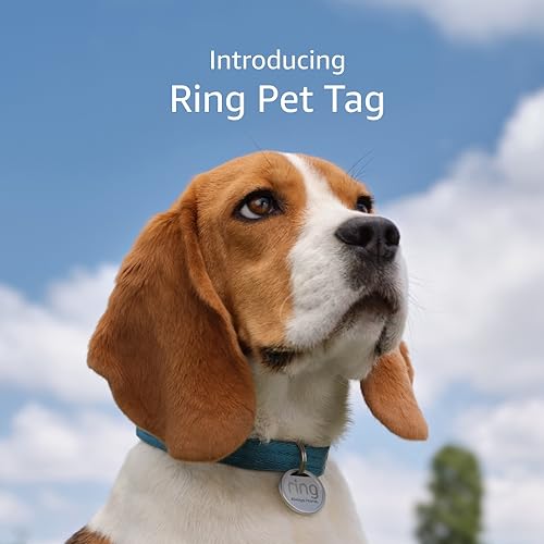 Ring Pet Tag | Easy-To-Use Tag With Qr Code | Real-Time Scan Alerts | Shareable Pet Profile | No Subscription Or Fees