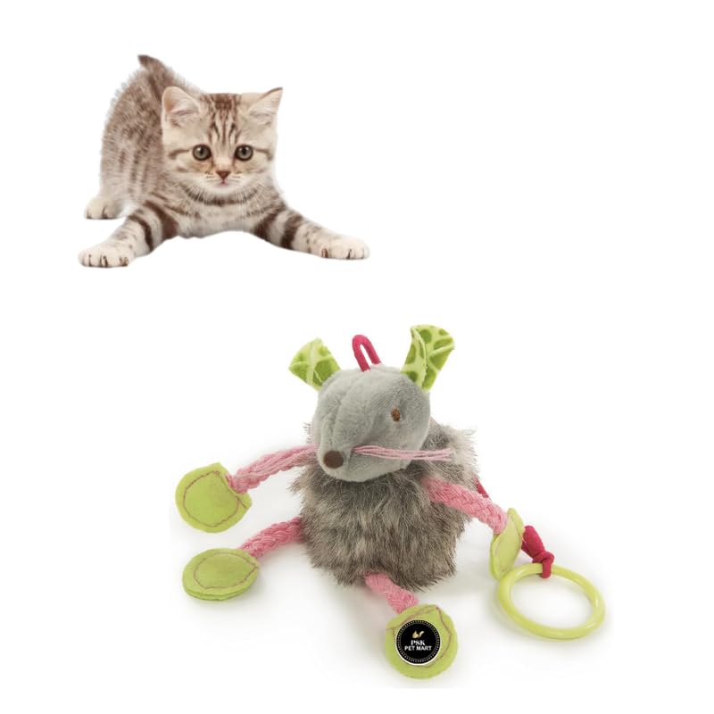 Psk Pet Mart Engaging Cat Toys