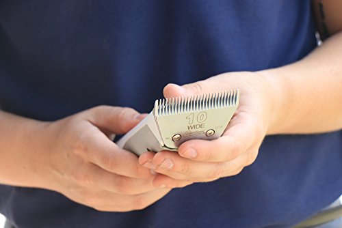 Oster Cryogenx Detachable Pet Clipper Blade, Size 10 Wide (078919-446-005)