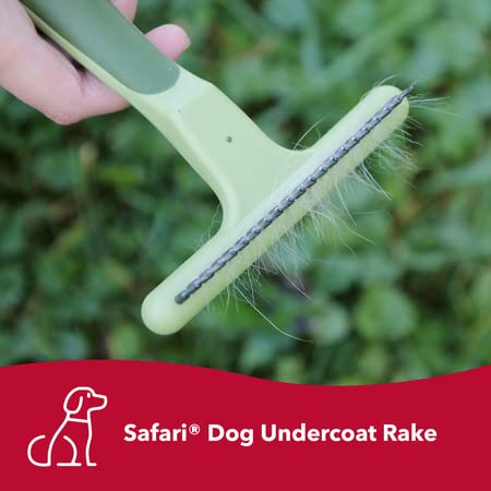 Coastal Pet Safari Double Row Undercoat Rake - Gentle Dematting And Deshedding Grooming Comb For Dogs