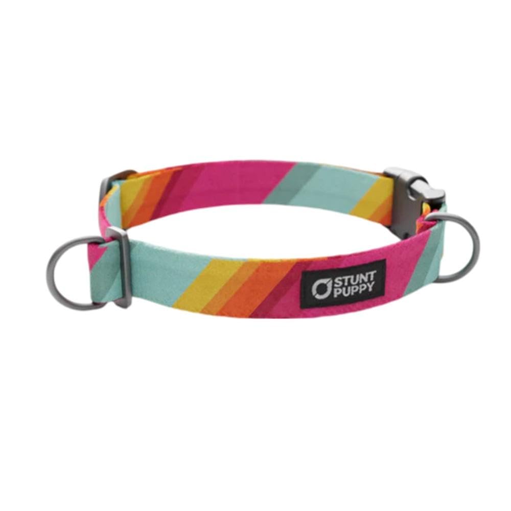 Progress Pride Alternate Everyday Collar Small