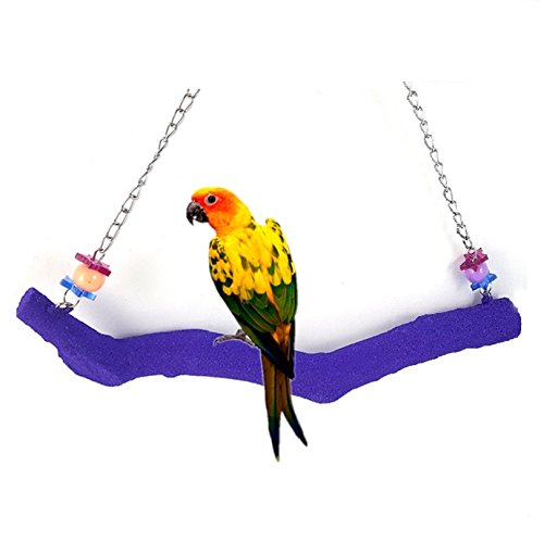 Petall Bird Parrot Swing Perch Cage Hanging Toy Scrub Wood Stand For Conures,Parakeets Cockatiels,Macaws,Finches,Love Birds (L-11.8' In)