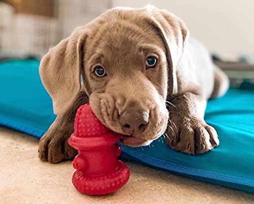 100% Natural Rubber Hydrant Small