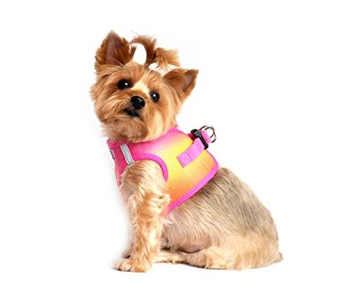 American River Choke-Free Dog Harness - Raspberry and Orange Sorbet Ombre