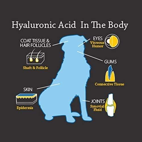 Hyalogic HyaFlex Hyaluronic Acid for Dogs - Joint Supplement for Mobility - 1 oz