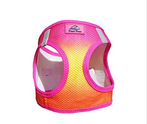 American River Choke-Free Dog Harness - Raspberry and Orange Sorbet Ombre