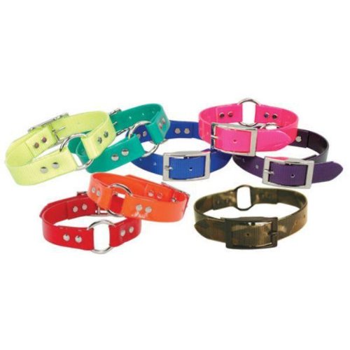Omnipet Sunglo Ring-In-Center Dog Collar, 3/4' Wide, Red, Fits 11.5'- 15' Neck Sizes, Vibrant Colors & Tough Construction For